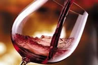 Degustazione Vini presso le Mandrie